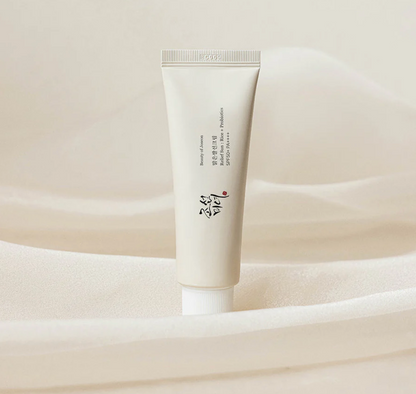 Beauty of Joseon Matt Sun Stick Mugwort Camelia 18g SPF50+ PA++++ Sun cream