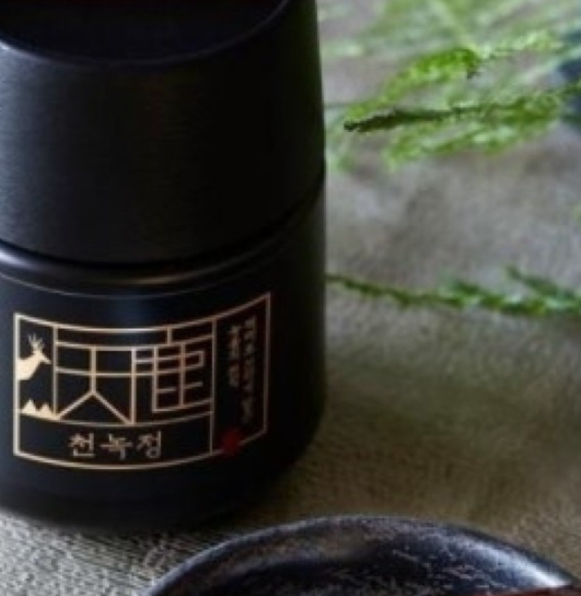 [Jung Kwan Jang] Cheon Nok Deer Antler Extract 180g x 2